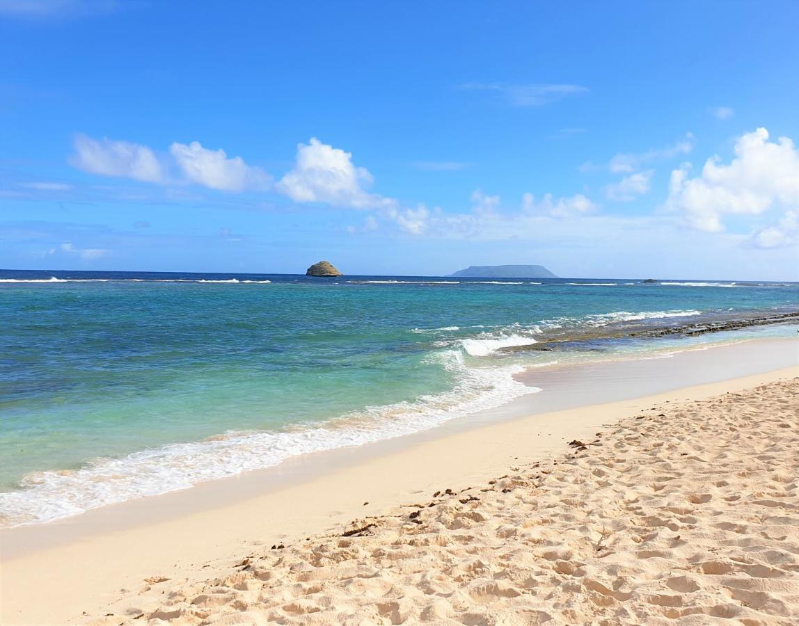 Villa Guadeloupe Saint Francois Acces Mer Piscine Iguana Bay - Villa Zagadi 外观 照片