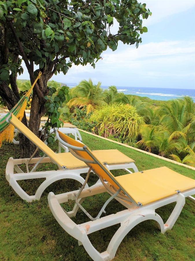 Villa Guadeloupe Saint Francois Acces Mer Piscine Iguana Bay - Villa Zagadi 外观 照片