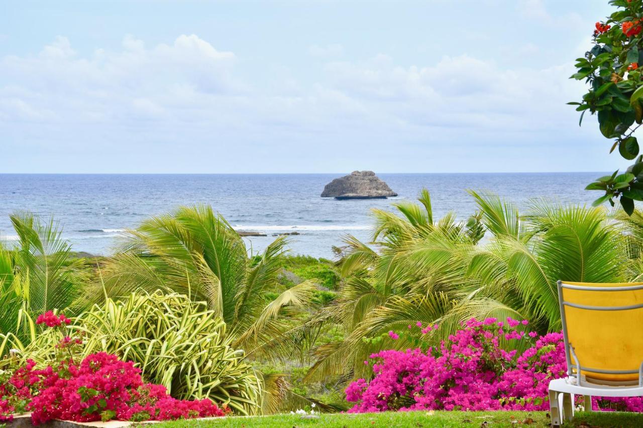 Villa Guadeloupe Saint Francois Acces Mer Piscine Iguana Bay - Villa Zagadi 外观 照片