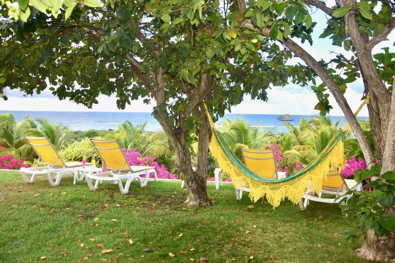 Villa Guadeloupe Saint Francois Acces Mer Piscine Iguana Bay - Villa Zagadi 外观 照片
