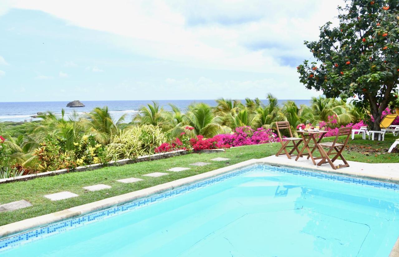 Villa Guadeloupe Saint Francois Acces Mer Piscine Iguana Bay - Villa Zagadi 外观 照片