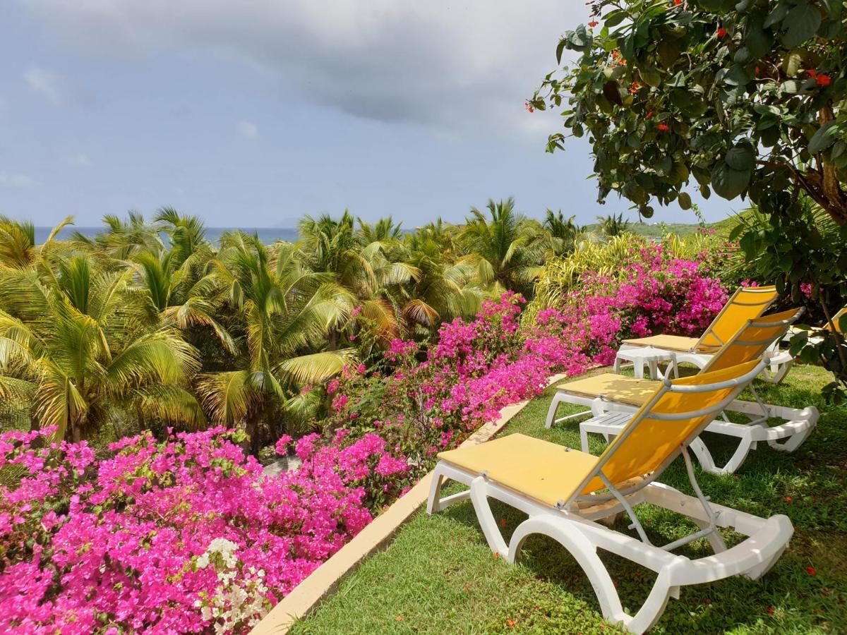 Villa Guadeloupe Saint Francois Acces Mer Piscine Iguana Bay - Villa Zagadi 外观 照片
