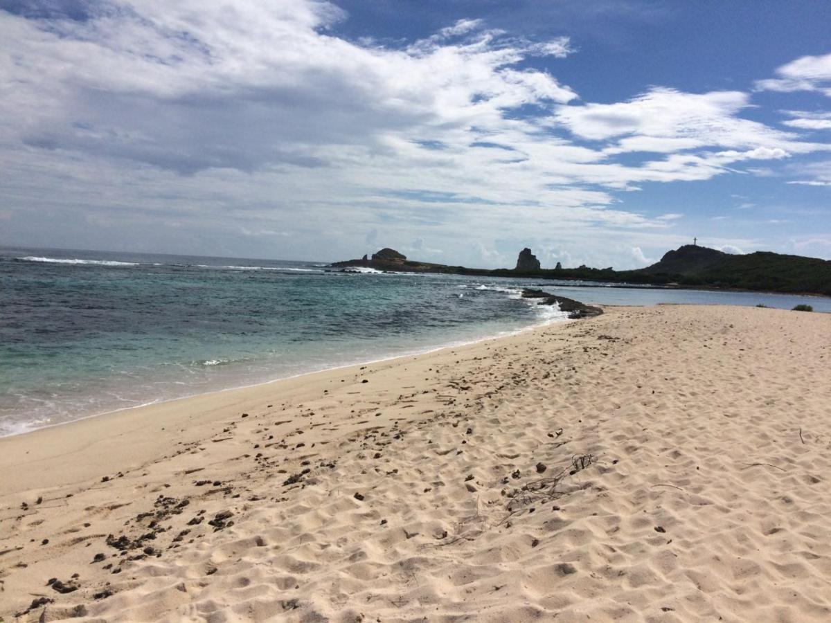 Villa Guadeloupe Saint Francois Acces Mer Piscine Iguana Bay - Villa Zagadi 外观 照片