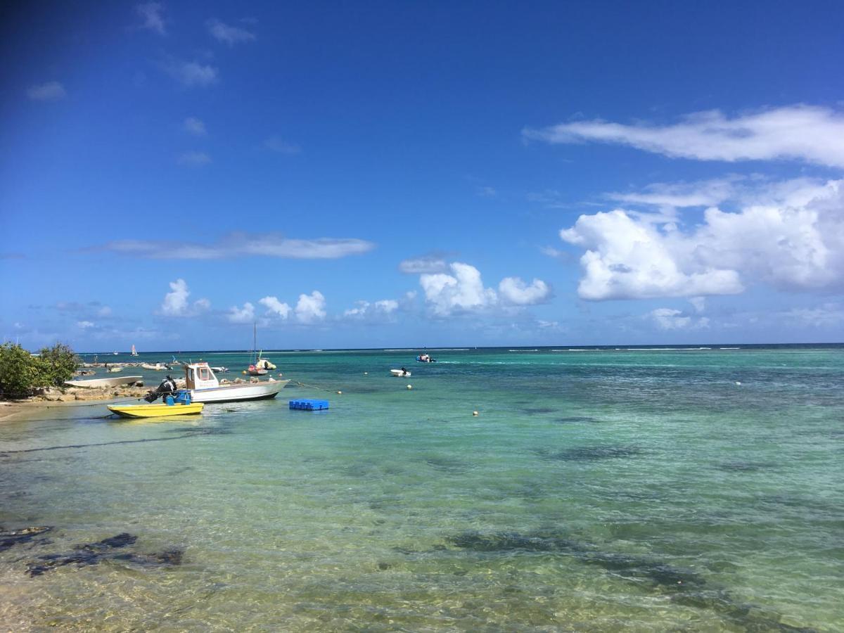 Villa Guadeloupe Saint Francois Acces Mer Piscine Iguana Bay - Villa Zagadi 外观 照片