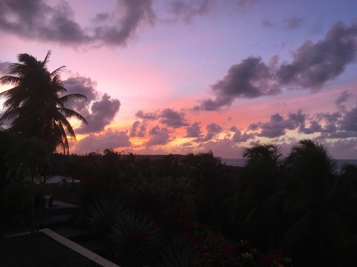 Villa Guadeloupe Saint Francois Acces Mer Piscine Iguana Bay - Villa Zagadi 外观 照片